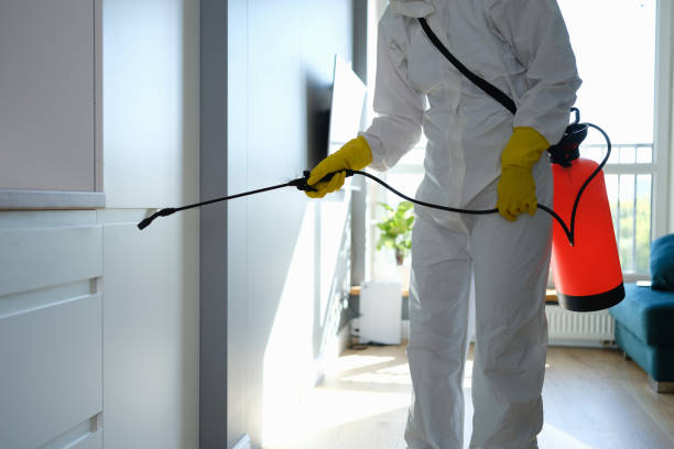 Mold Removal and Inspection in Lake Leann, MI