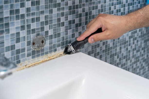 Certified Mold Removal in Lake Leann, MI